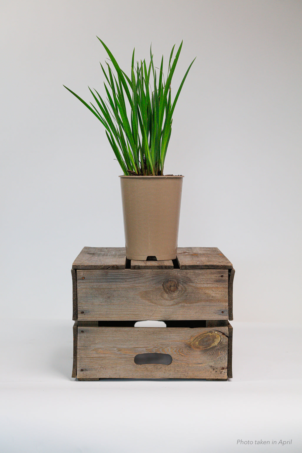 products/SotoProductShootLowQ-1901.jpg
